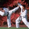 Taekwondo - Image 3