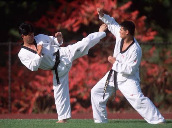 Taekwondo - Image 3